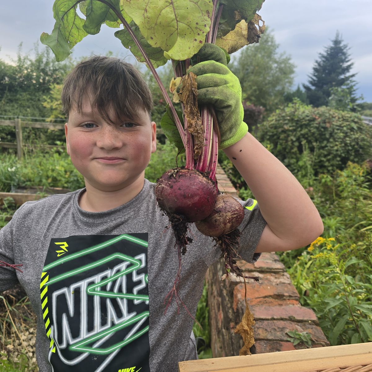 A young grower proudly holding freshly pulled beetroot